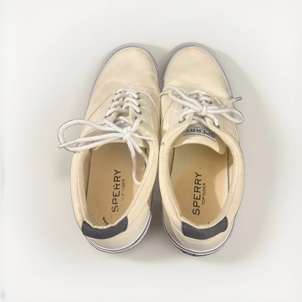 Sperry Top Sider size 12 Men